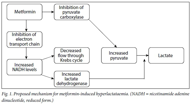 Metabolic Acidosis: An Overview of Causes, Symptoms, and Treatments