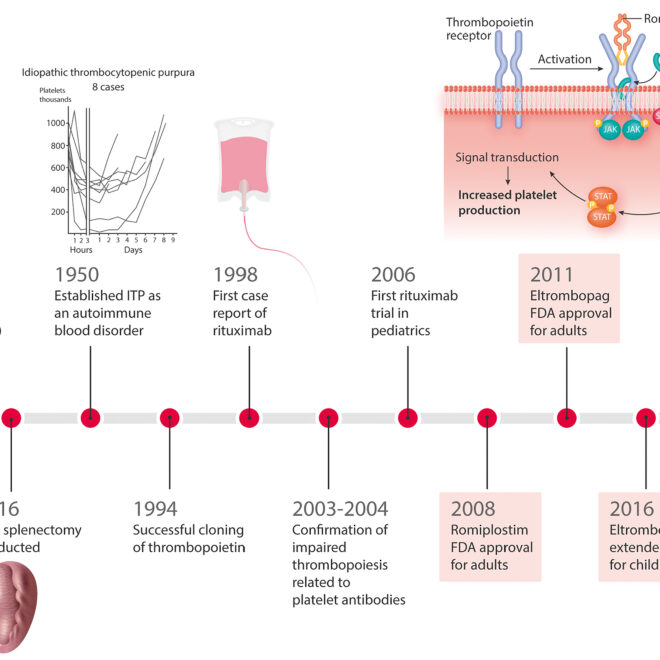 Idiopathic Thrombocytopenic Purpura (ITP): A Complete Guide