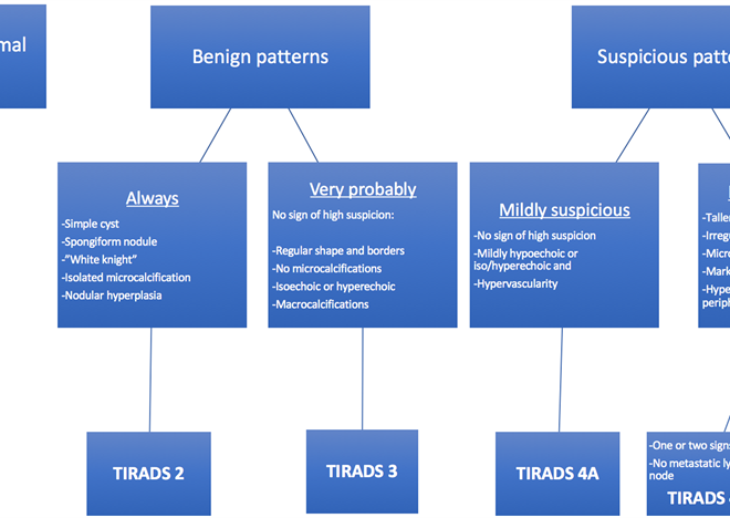 Thyroid Nodules: Overview, Types, Diagnosis, and Treatments