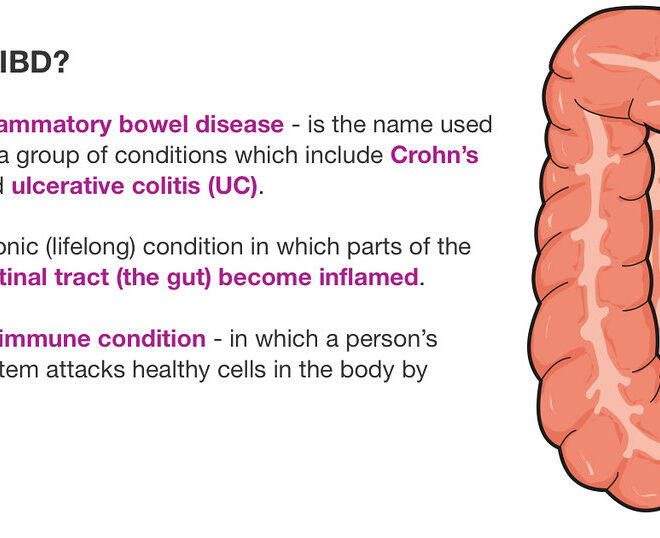 Inflammatory Bowel Disease (IBD): Types, Causes, Symptoms, and Treatments
