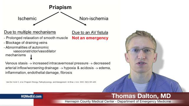 Persistent Erection Disorder (Priapism): Causes, Types, and Treatments