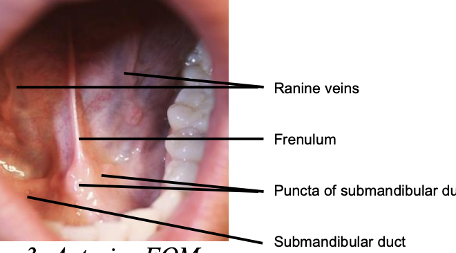 Blocked Tear Duct: Causes, Symptoms, Diagnosis, and Treatment