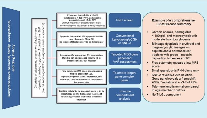 Myelodysplastic Syndromes (MDS): Overview, Types, Causes, and Treatments