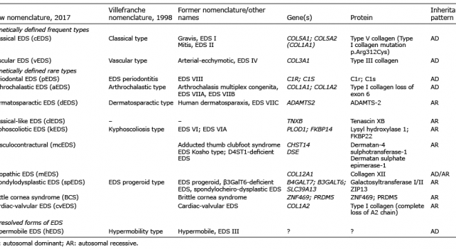 Ehlers-Danlos Syndrome: A Complete Guide to Symptoms, Types, and Management