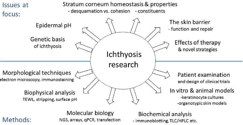 Ichthyosis: A Comprehensive Guide to Dry Skin Disorders