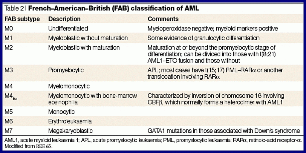 Leukemia: Types, Symptoms, Diagnosis, and Treatments