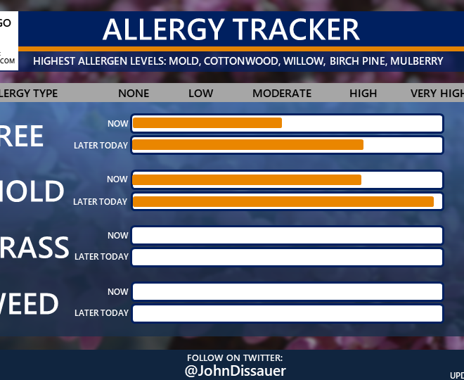 Mold Allergy: Causes, Symptoms, and Management