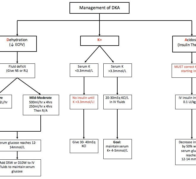 Diabetic Ketoacidosis: Causes, Symptoms, and Treatment Explained
