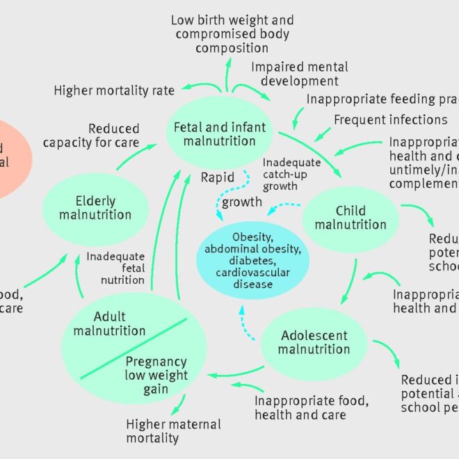 Malnutrition: Types, Causes, Effects, and Prevention