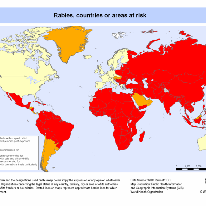 Rabies: What It Is, How It Spreads, and Why It’s Dangerous