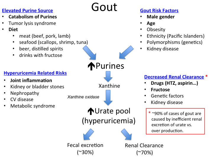 Gout: Causes, Symptoms, Diagnosis, and Treatment (Hyperuricemia)