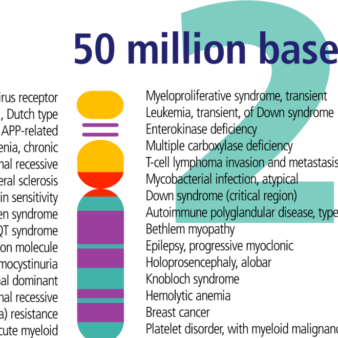 Down Syndrome: Causes, Features, and Support