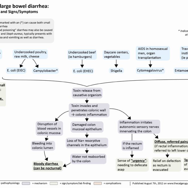 Dysentery: Causes, Symptoms, Types, and Treatments