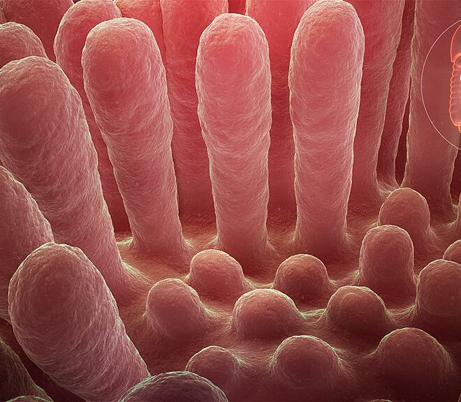 Celiac Disease: Understanding Gluten Intolerance and Its Effects