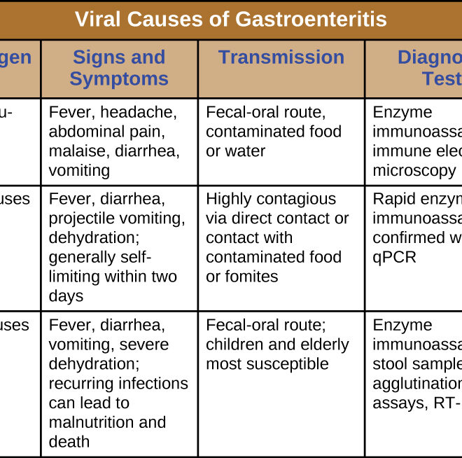 Gastroenteritis: What It Is, Causes, Symptoms & Treatment