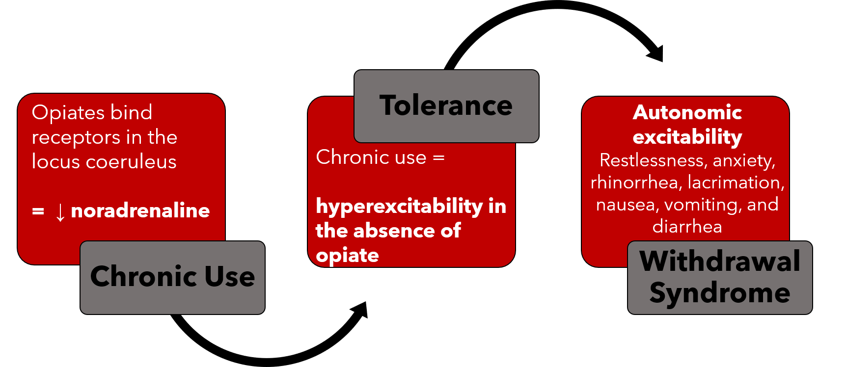 Opioid Withdrawal: Symptoms, Timeline, and Management