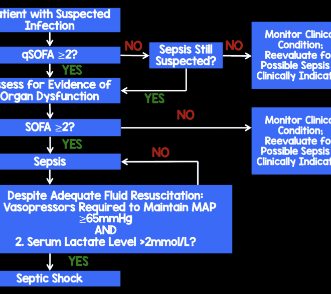 Septic Shock: A Comprehensive Guide to Causes, Symptoms, and Treatments