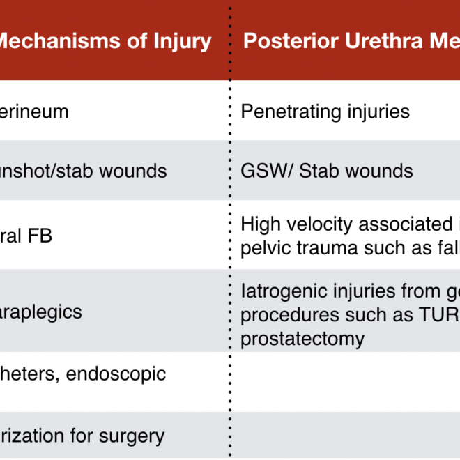 Urethritis: Causes, Symptoms, Diagnosis, and Treatment Options