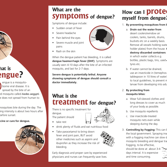 Dengue Fever: Causes, Symptoms, Transmission, and Treatment