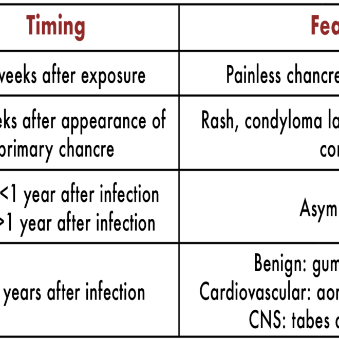Syphilis: Understanding the Disease, Stages, Symptoms & Care