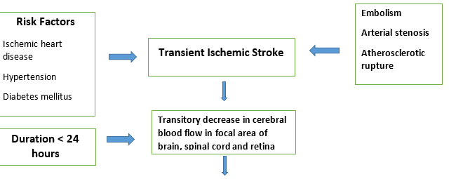 Mini-Stroke (Transient Ischemic Attack): Causes, Symptoms & Prevention