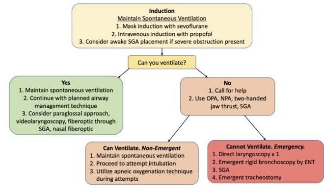 Treacher Collins Syndrome: A Detailed Overview of Facial Bone Development Disorder (TCS)