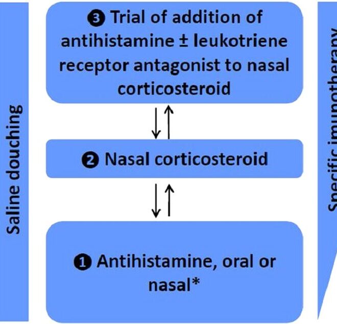 Nasal Inflammation (Rhinitis): Types, Triggers, and Treatments