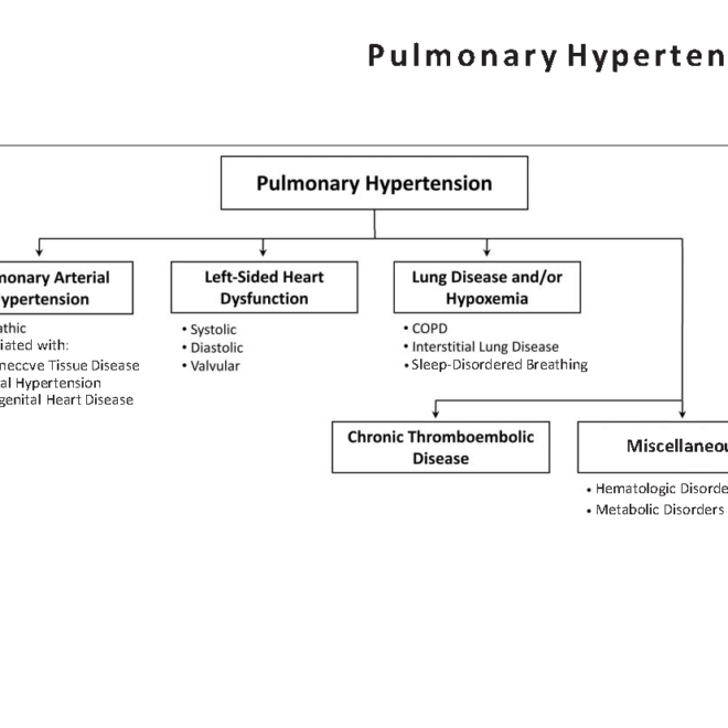 Pulmonary Hypertension: Overview, Causes, Symptoms, and Treatments