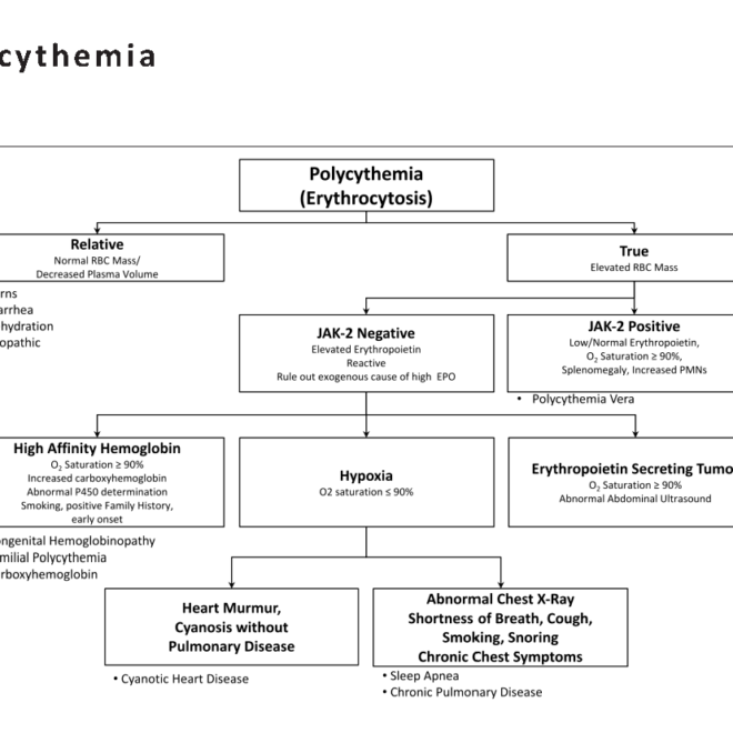 Polycythemia: Causes, Symptoms, and Treatments