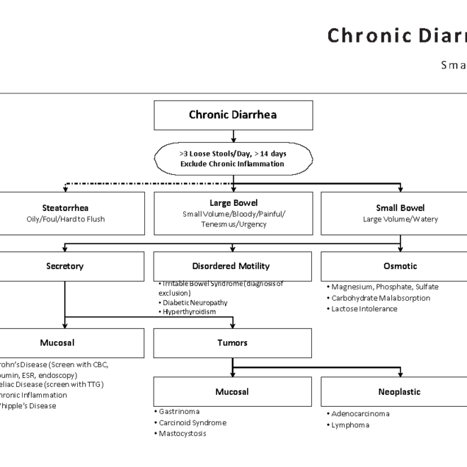 Chronic Diarrhea: Understanding Causes, Symptoms, and Treatments