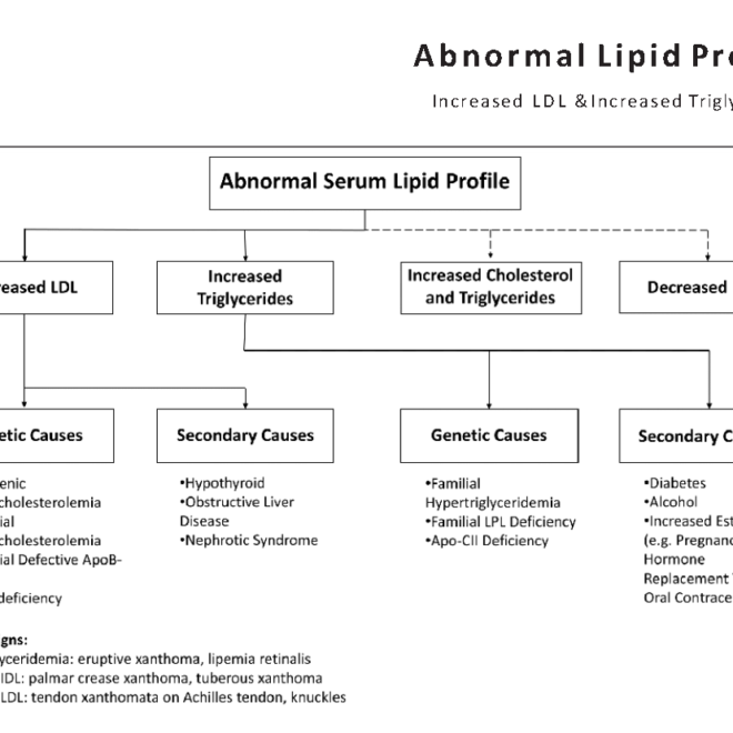 High Cholesterol and Triglycerides (Dyslipidemia): Overview, Causes, Diagnosis & Management