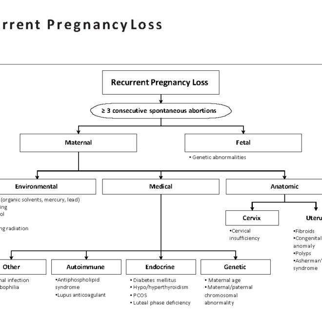 Miscarriage: Causes, Symptoms, and Emotional Impact