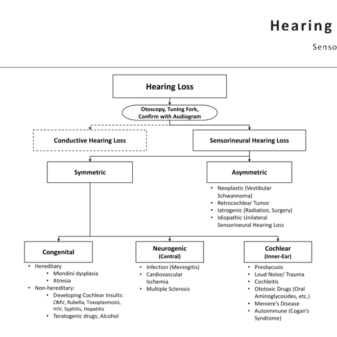 Sensorineural Hearing Loss (Nerve Damage): Causes, Symptoms, and Treatments