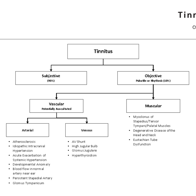 Tinnitus: Causes, Symptoms, and Management Options