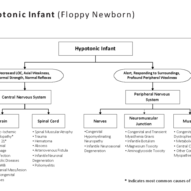 Floppy Baby Syndrome (Hypotonia): Overview, Causes, and Care