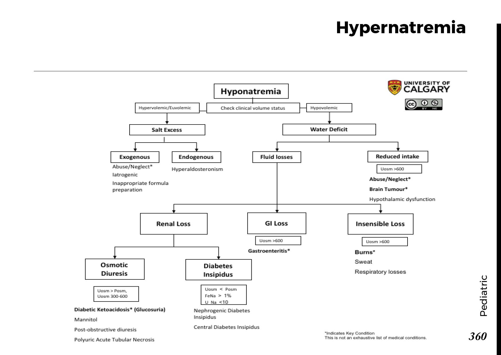High Sodium Levels in the Blood (Hypernatremia): Causes, Symptoms & Care