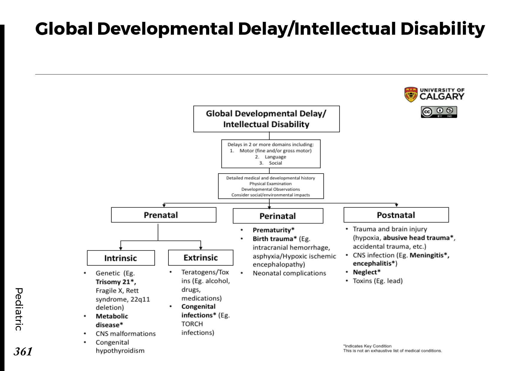 Intellectual Disability: Causes, Symptoms, and Support