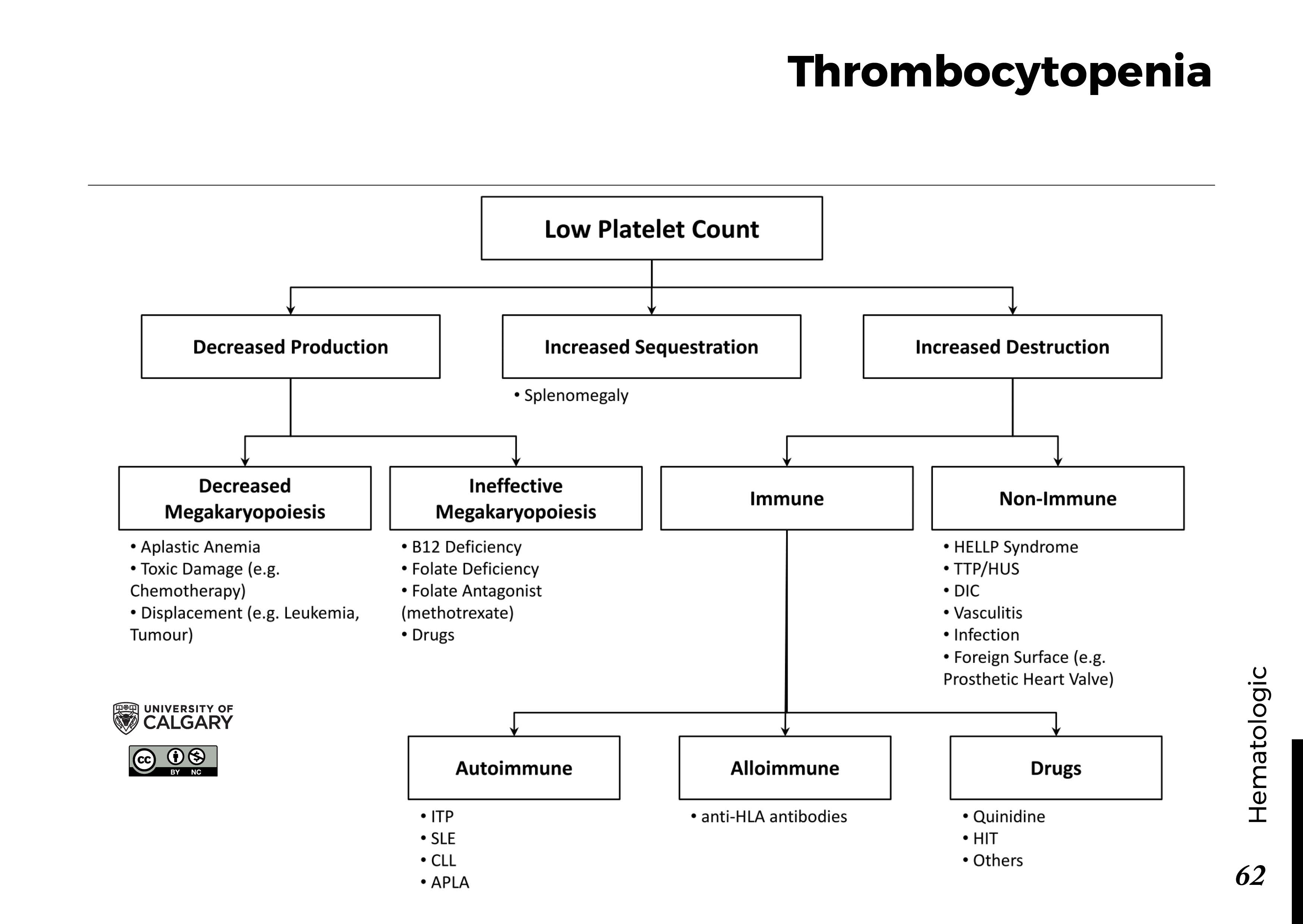 Low Platelet Count (Thrombocytopenia): Causes, Symptoms, and Treatments