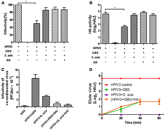 Human Parainfluenza Viruses (HPIVs): Types, Spread, and Impact