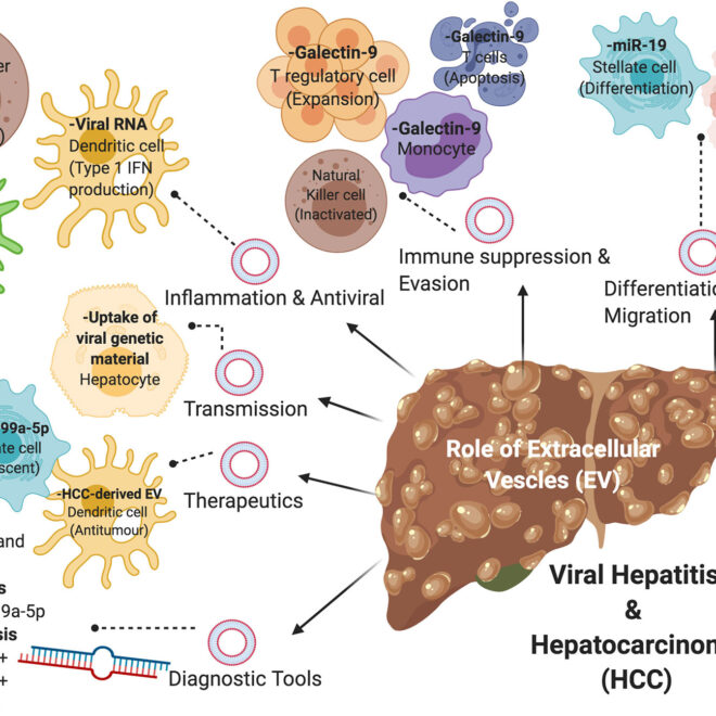 Hepatitis C: Understanding the Liver Disease Caused by HCV