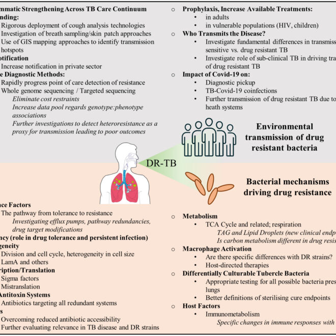 Tuberculosis: Causes, Symptoms, Diagnosis, and Treatment