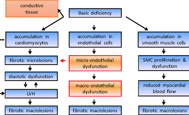 Fabry Disease: A Comprehensive Overview of Symptoms, Diagnosis, and Treatment