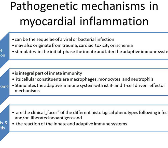 Inflammation of the Heart Muscle (Myocarditis): Causes, Symptoms, and Treatments