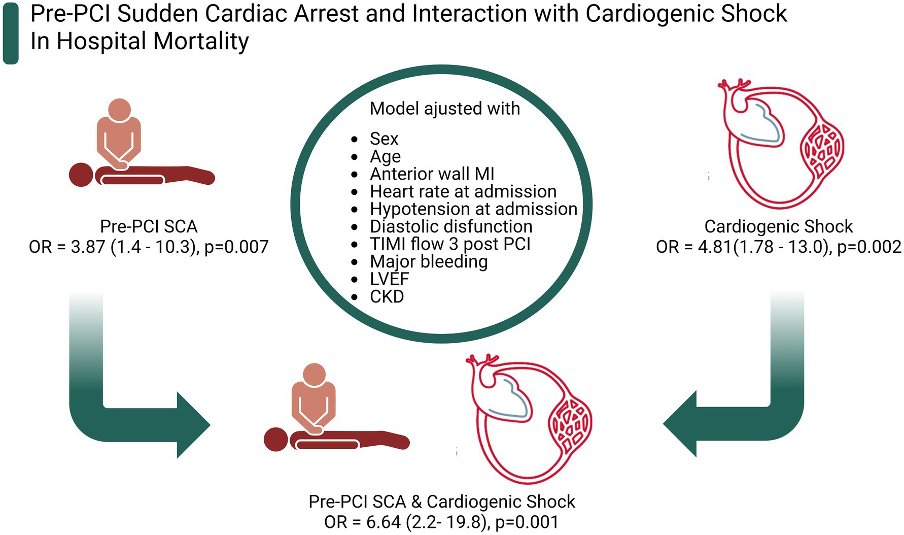 Sudden Cardiac Arrest: Causes, Symptoms, and Emergency Care