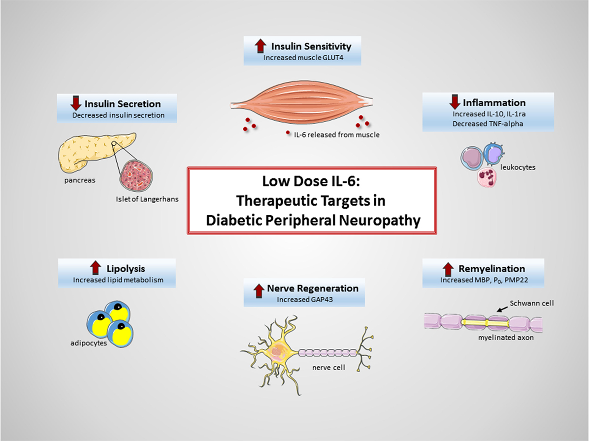 Peripheral Neuropathy: Causes, Symptoms, Types, and Treatments