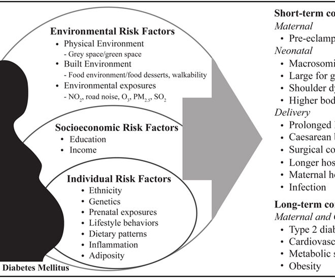 Gestational Diabetes: Causes, Symptoms, and Management During Pregnancy