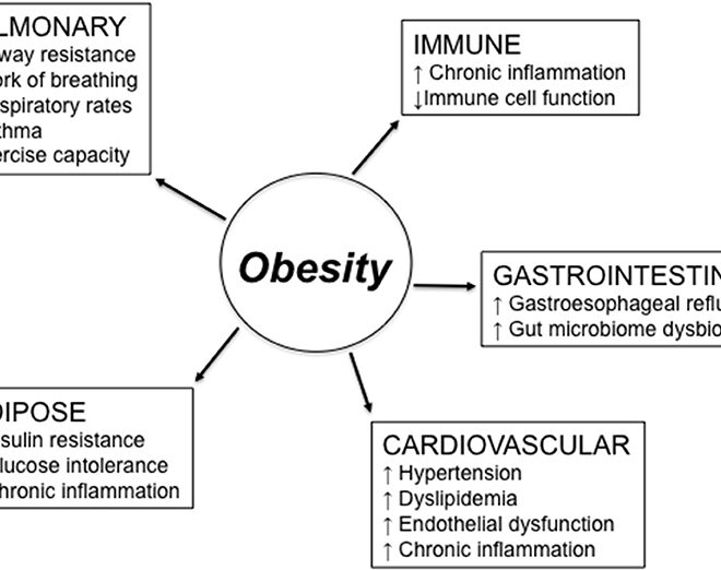 Obesity: Causes, Effects, and Management