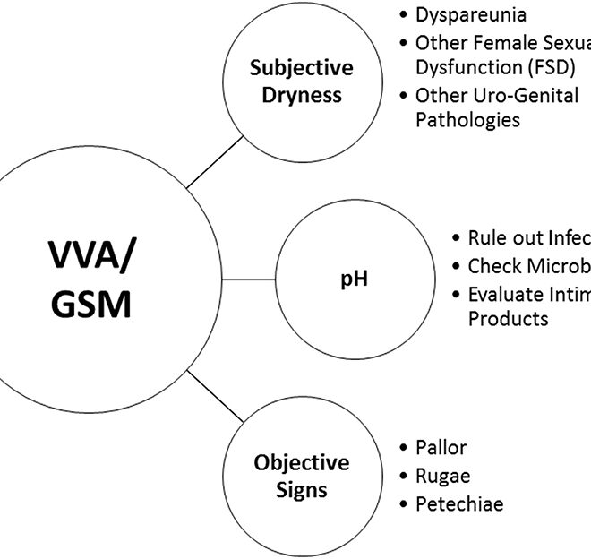 Vaginal Atrophy: Causes, Symptoms, and Treatments Explained
