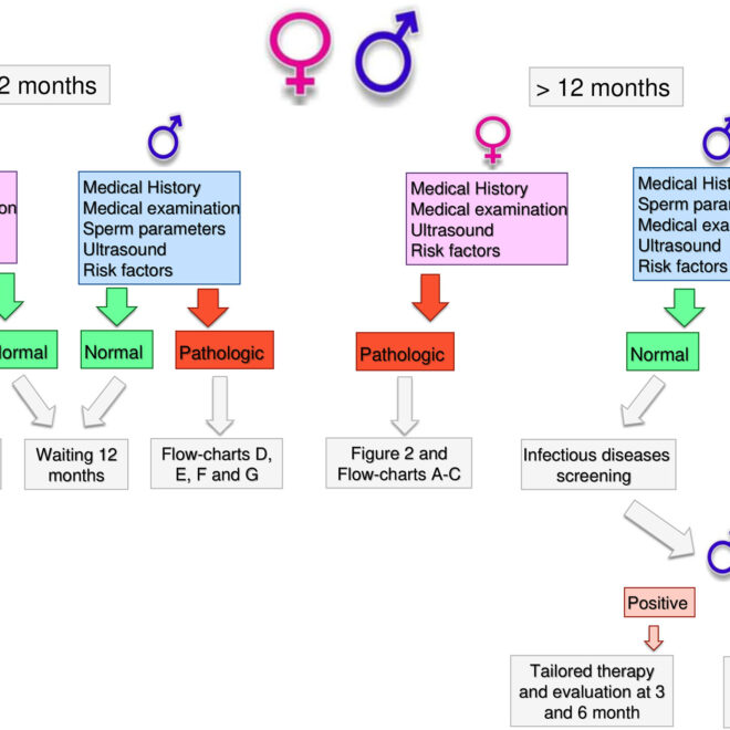 Infertility: Causes, Diagnosis, and Treatment Options