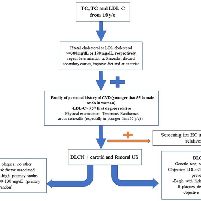 High Cholesterol (Hypercholesterolemia): Causes, Effects, and Management